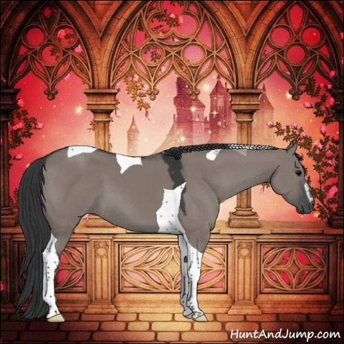Horse Color:Grullo Sabino Tobiano 