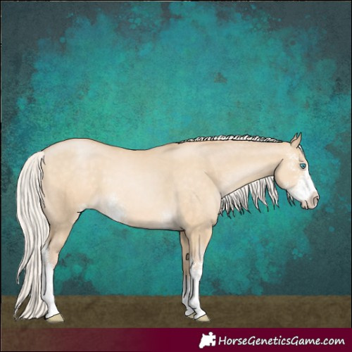 Horse Color:Silver Buckskin Pearl Dun Sabino 