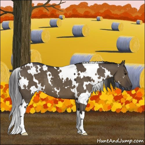 Horse Color:White Spotted Smoky Grullo 