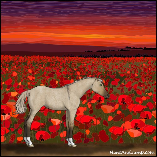 Horse Color:Silver Smoky Grullo Roan 