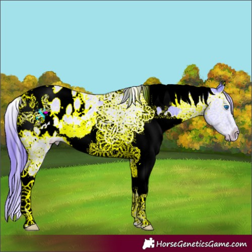 Horse Color:Watercolor Smoky Black Splash Tobiano Appaloosa 