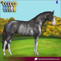Horse Color:Smoky Black Sabino Rabicano