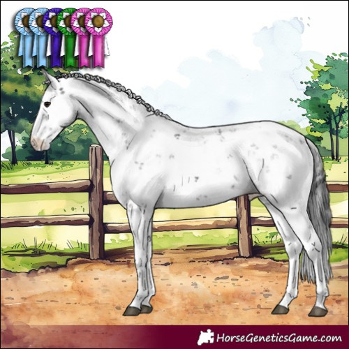 Horse Color:Black Sabino 