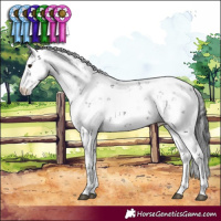 Horse Color:Black Sabino 