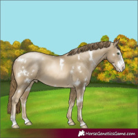 Horse Color:White Spotted Smoky Black Pearl Sabino 