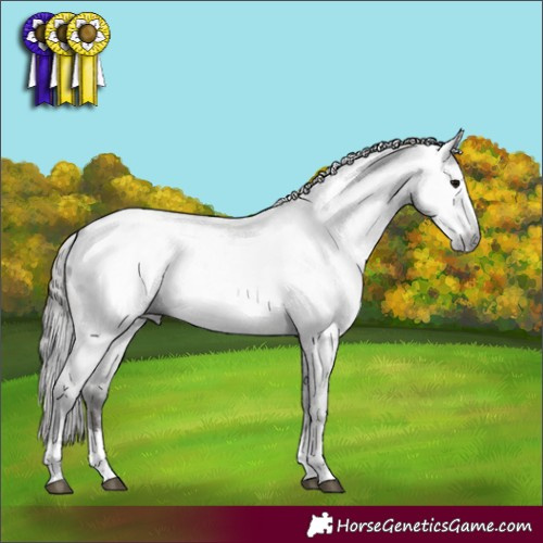 Horse Color:Gray Black Varnish Rabicano 