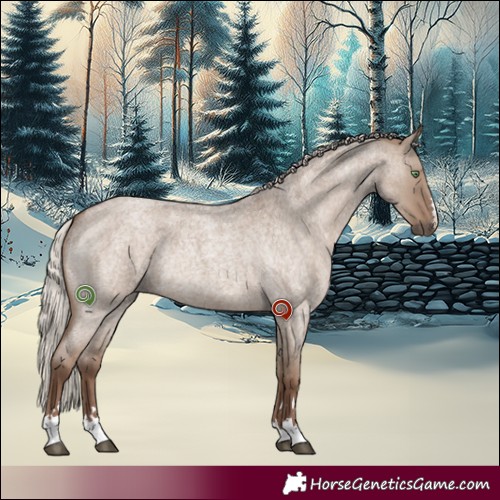 Horse Color:Silver Grullo Roan Rabicano 