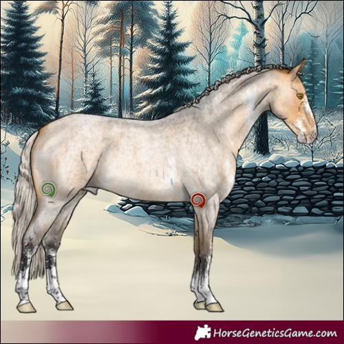 Horse Color:Silver Buckskin Roan Sabino Rabicano 