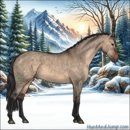 Horse Color:Brown Dun Sabino Rabicano