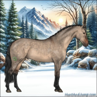 Horse Color:Brown Dun Sabino Rabicano