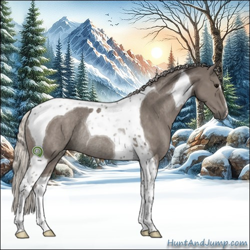 Horse Color:Silver Grullo Tobiano Rabicano 