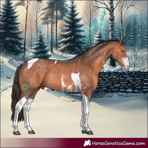 Horse Color:Bay Sabino Tobiano Rabicano 