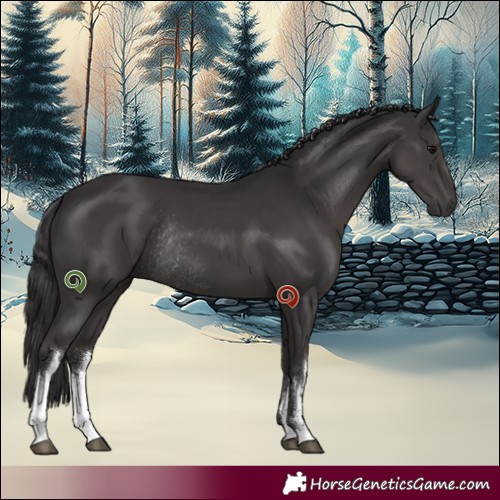 Horse Color:White Spotted Smoky Black Rabicano 
