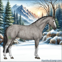 Horse Color:White Spotted Grullo Roan Rabicano