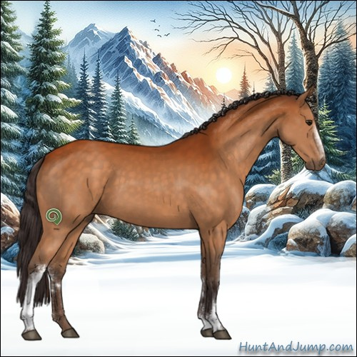 Horse Color:White Spotted Buckskin Rabicano