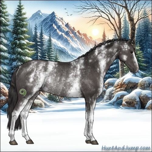 Horse Color:White Spotted Smoky Black Rabicano 