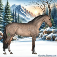 Horse Color:Brown Dun Sabino Rabicano 