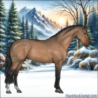 Horse Color:Brown Dun Sabino Rabicano