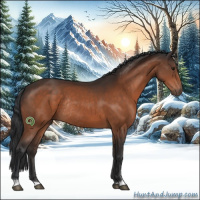 Horse Color:Brown Sabino Rabicano 