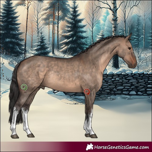 Horse Color:White Spotted Brown Dun Rabicano 