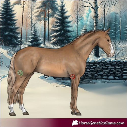Horse Color:Chocolate Palomino Sabino Rabicano 