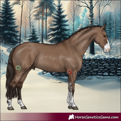 Horse Color:Liver Red Dun Sabino Rabicano 