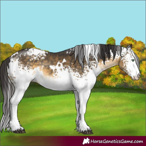 Horse Color:White Spotted Buckskin Mushroom Rabicano 