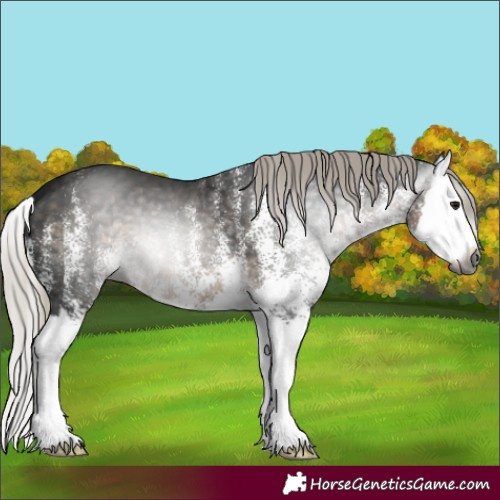Horse Color:Gray White Spotted Silver Smoky Black Splash
