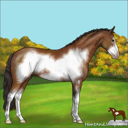 Horse Color:Buckskin Sabino Frame 