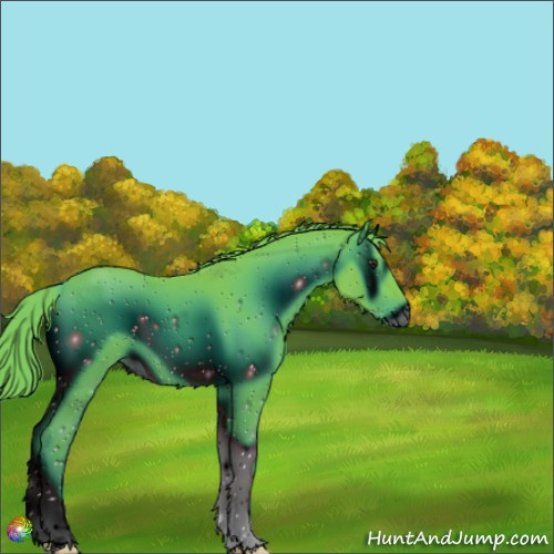 Horse Color:ERROR: UNKNOWN ANOMALY