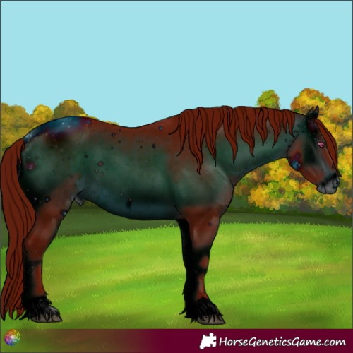 Horse Color:ERROR: UNKNOWN ANOMALY