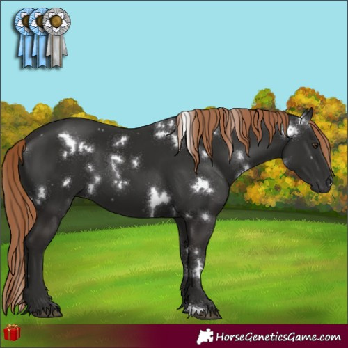Horse Color:White Spotted Liver Chestnut 