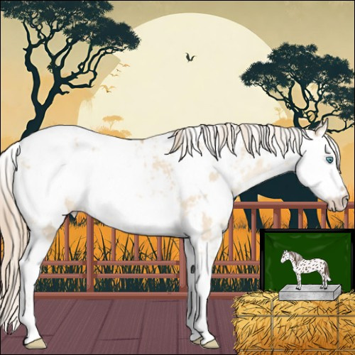 Horse Color:Perlino Dun Sabino Appaloosa 