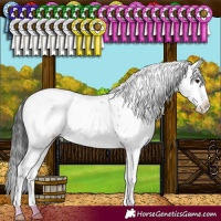 Horse Color:Brown Sabino