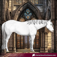 Horse Color:Brown Dun Mushroom Sabino Near Leopard 