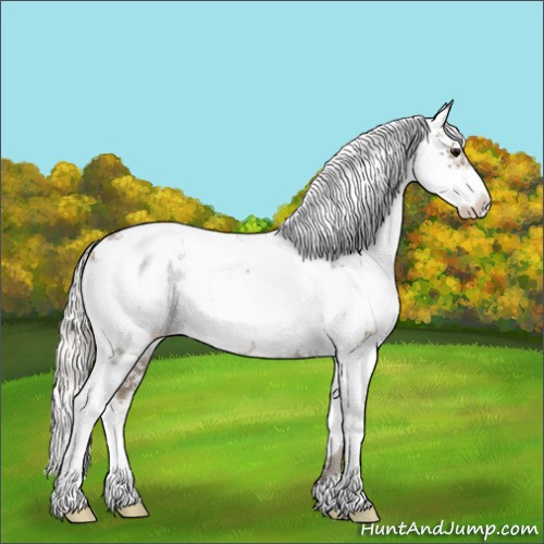 Horse Color:Silver Smoky Black Sabino Appaloosa Rabicano
