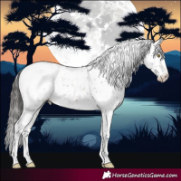 Horse Color:Brown Dun Sabino Appaloosa Brindle 