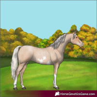 Horse Color:Silver Blue Roan Pearl Tobiano Frame 