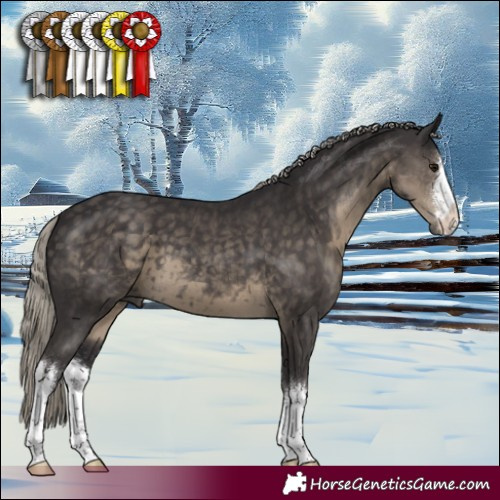 Horse Color:White Spotted Silver Smoky Black 