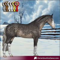 Horse Color:White Spotted Silver Smoky Black