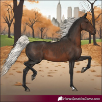 Horse Color:Liver Chestnut Mushroom 