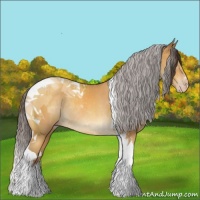 Horse Color:Sable Cream Champagne Tobiano Rabicano 