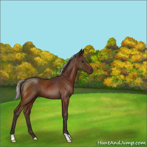 Horse Color:Silver Brown 