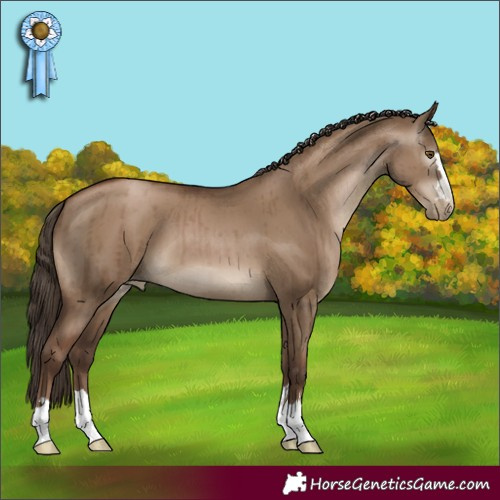 Horse Color:Gray Grullo Pearl Brindle 