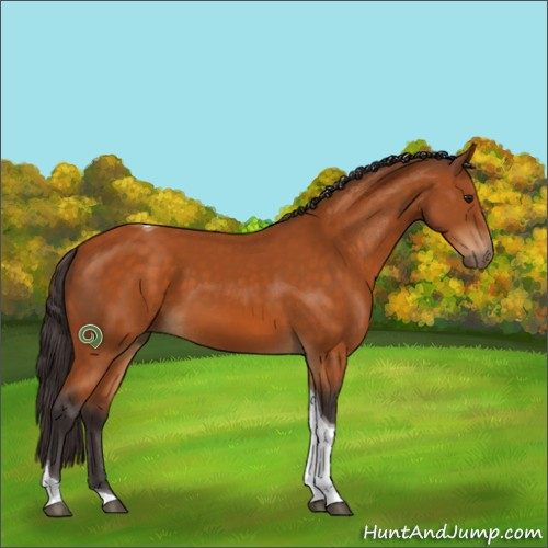 Horse Color:Buckskin Tobiano