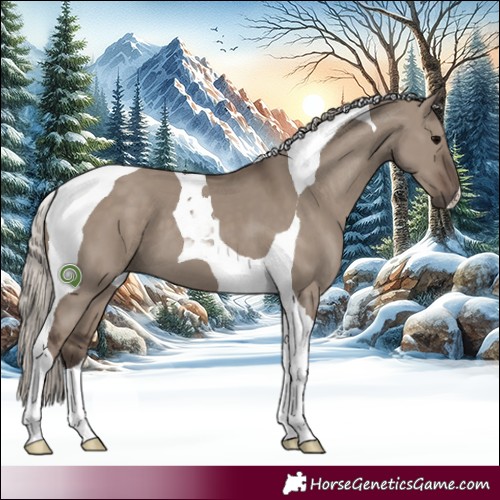 Horse Color:Silver Grullo Tobiano