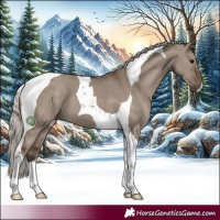 Horse Color:Silver Grullo Tobiano