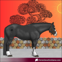 Horse Color:Black 
