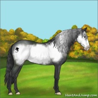 Horse Color:Black Frame 