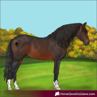 Horse Color:Brown 
